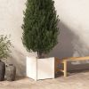 Garden Planter White 19.7"x19.7"x19.7" Solid Wood Pine