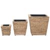 Garden Raised Beds 3 pcs Water Hyacinth