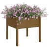 Garden Planters 2 pcs Honey Brown 27.6"x27.6"x27.6" Solid Wood Pine