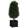 Garden Planters 2 pcs Black 19.7"x19.7"x19.7" Solid Wood Pine