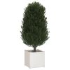 Garden Planters 2 pcs White 19.7"x19.7"x19.7" Solid Wood Pine