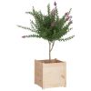 Garden Planters 2 pcs 19.7"x19.7"x19.7" Solid Wood Pine