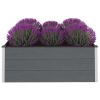 Garden Raised Bed WPC 59.1"x39.4"x21.3" Gray