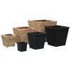 Garden Raised Beds 3 pcs Water Hyacinth