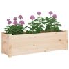 Garden Planters 2 pcs 39.4"x12.2"x12.2" Solid Wood Pine