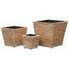 Garden Raised Beds 3 pcs Water Hyacinth