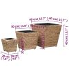 Garden Raised Beds 3 pcs Water Hyacinth